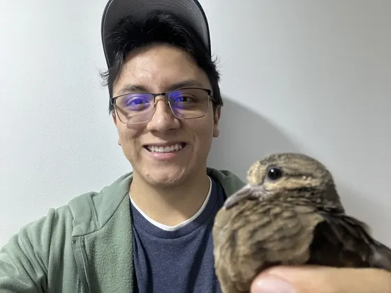 Santiago con un pájaro en la mano